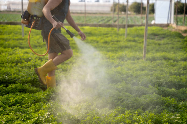 Best Ant Control Services  in Niantic, CT